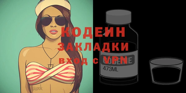 дурь Краснослободск