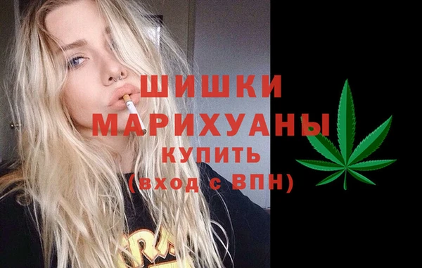 дурь Краснослободск
