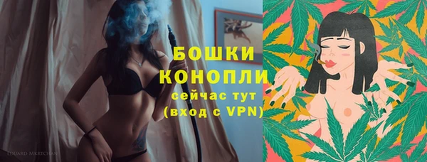 дурь Краснослободск